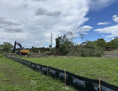 Woodlands Tamarac Development: Everything You Need to Know About the New Community